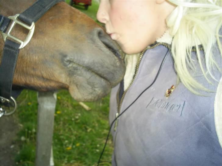 New Forest »{Miss Tanja }« † 04-05-09 † - det afgørene kys <3 billede 17