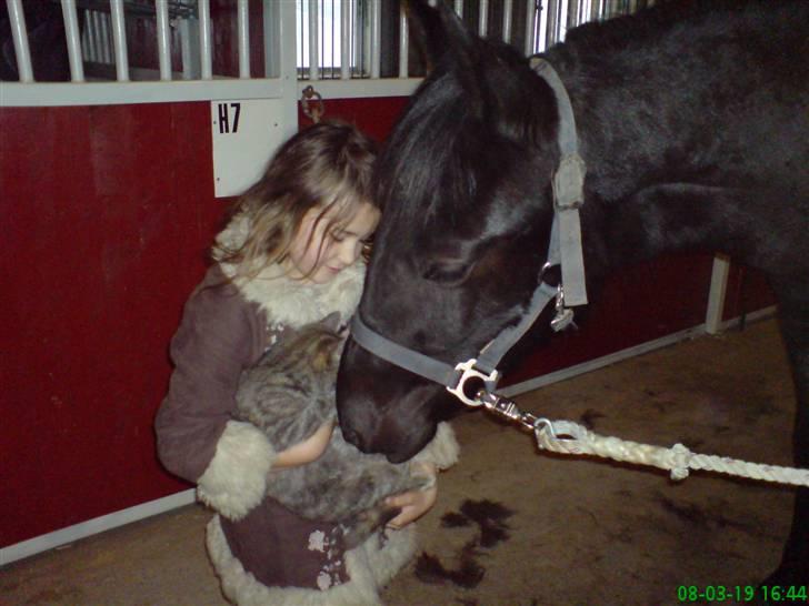 Anden særlig race Schacks Savannah - Hej Monique hvad har du dog der? nå det er Kisser, "jeg muler hende" billede 14