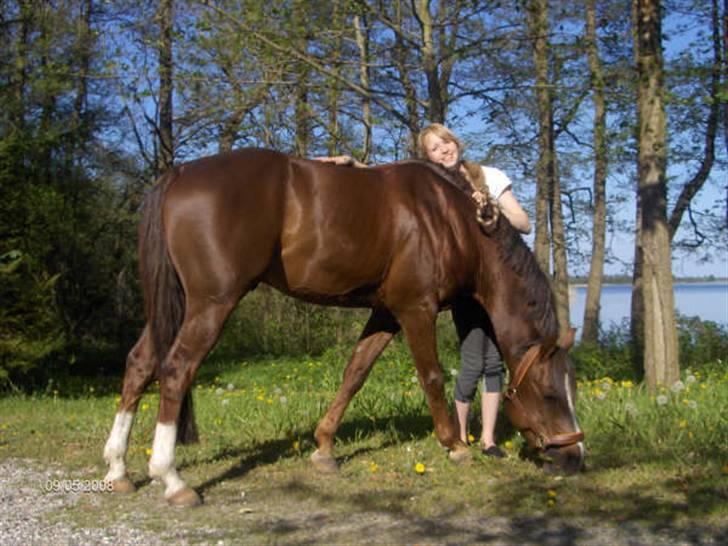 DSP Nørlunds Atlantic - solgt - Hygge ved søen !<3 Foto : Mariann billede 11