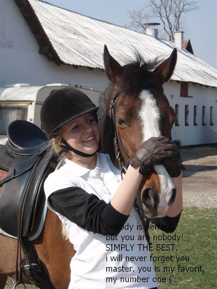 Connemara Birkely Little Teat R.I.P billede 7