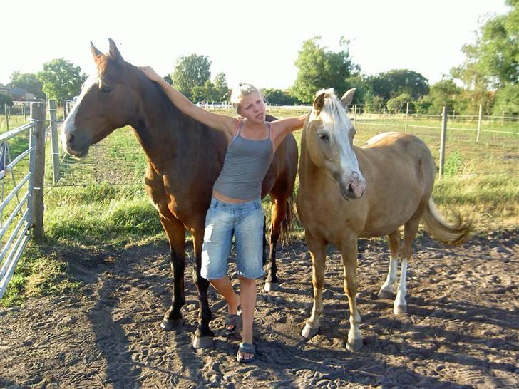 Connemara Birkely Little Teat R.I.P - zuck, mig og mille (; fra 2006. den sommer hvor zuck gik på græs med alle hopperne :D tøsedreng. billede 10