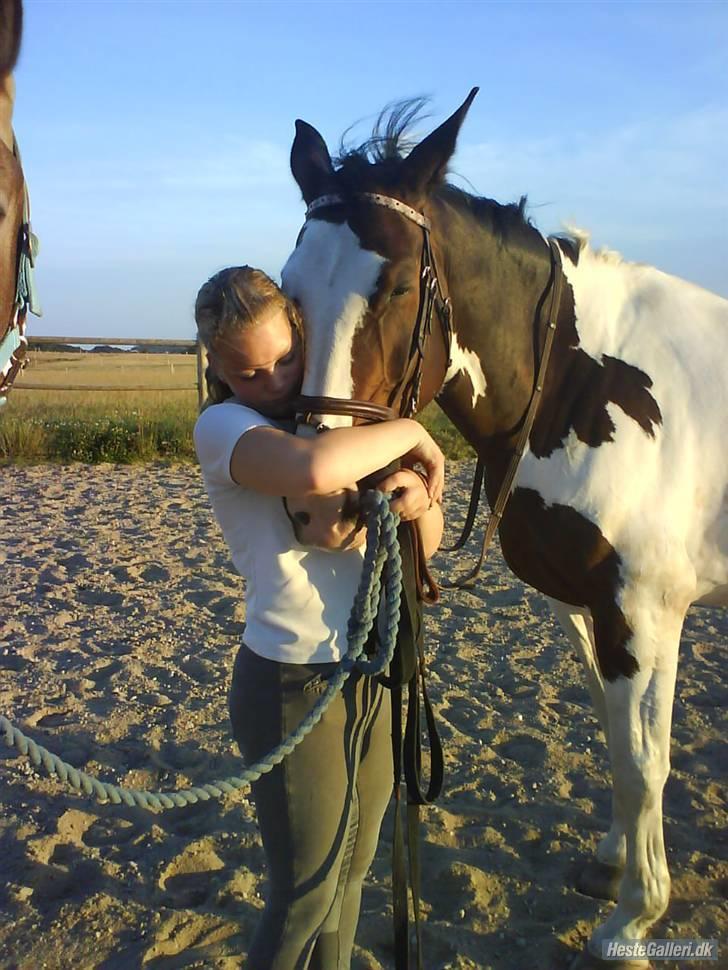 Pinto Cheyenne (solgt & savnet) - Elsker min prinsesse billede 9