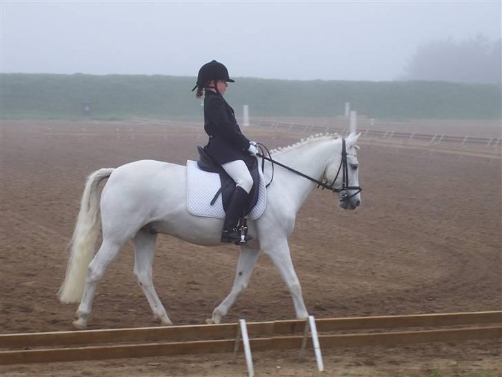 Connemara Sultan<3 aflivet:(   - mig og sulle grk.04 billede 4