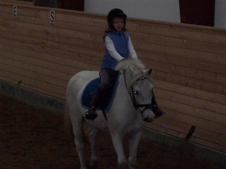 Connemara Sultan<3 aflivet:(   - emma og sulle 05. kom så sulle.<3 billede 5