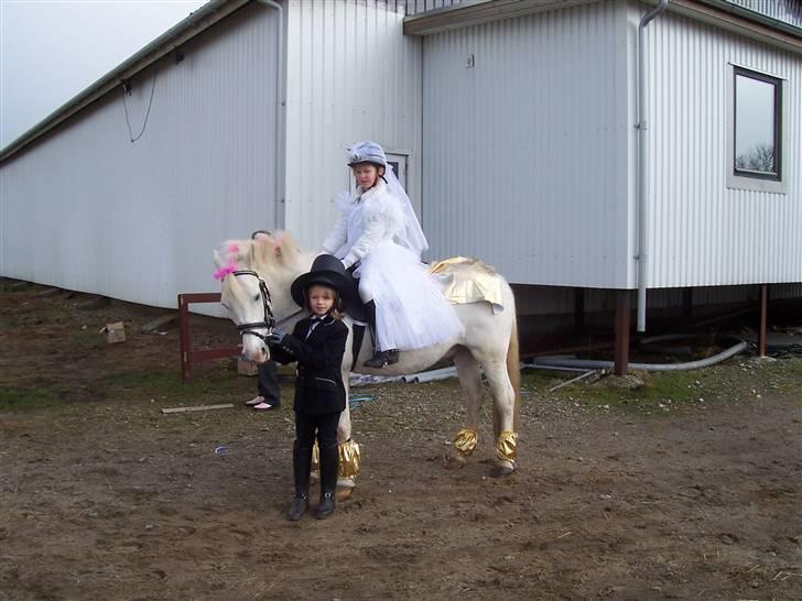 Connemara Sultan<3 aflivet:(   - fastelavnsfest 07. emma brud, simone, brudegong, sulle karet<3 billede 7