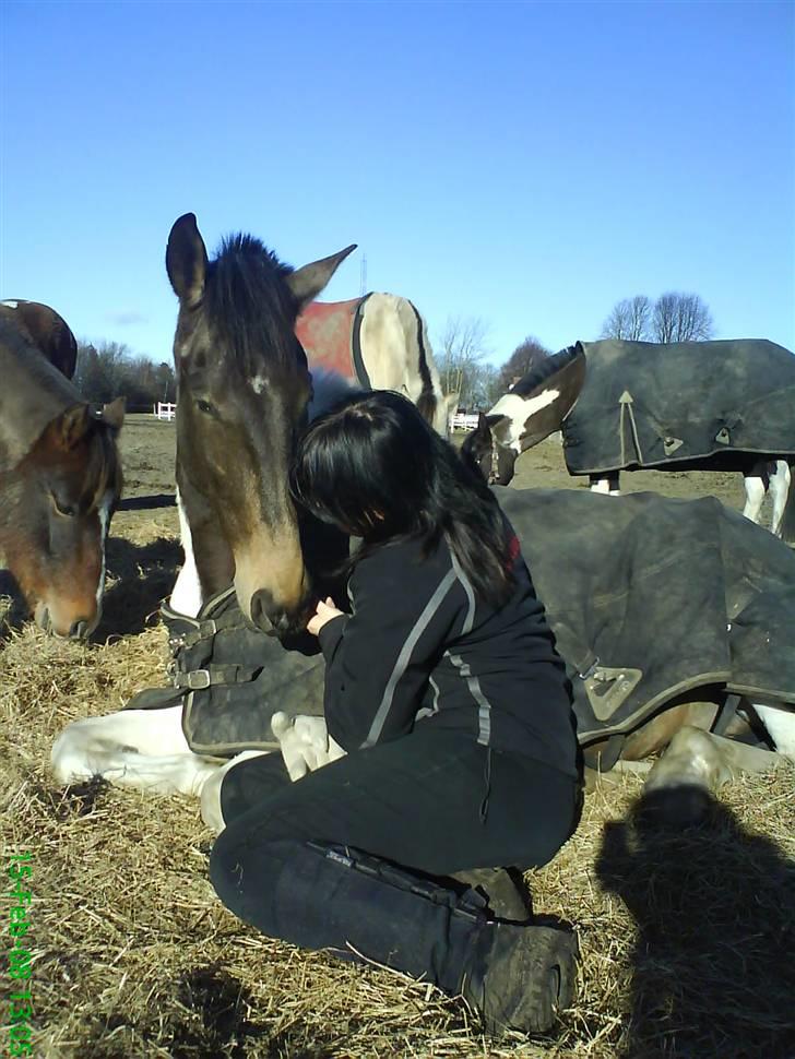 Pinto  Ocarina. R.I.P <333 - Er vi ikke søde, elsker ham bare af hele mit hjerte.<333 billede 17