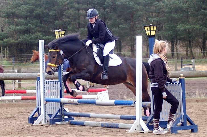 Anden særlig race pyxis - Springstævne i kongsvad (17/4 11) - Fejlfri i LE :D<3 billede 16