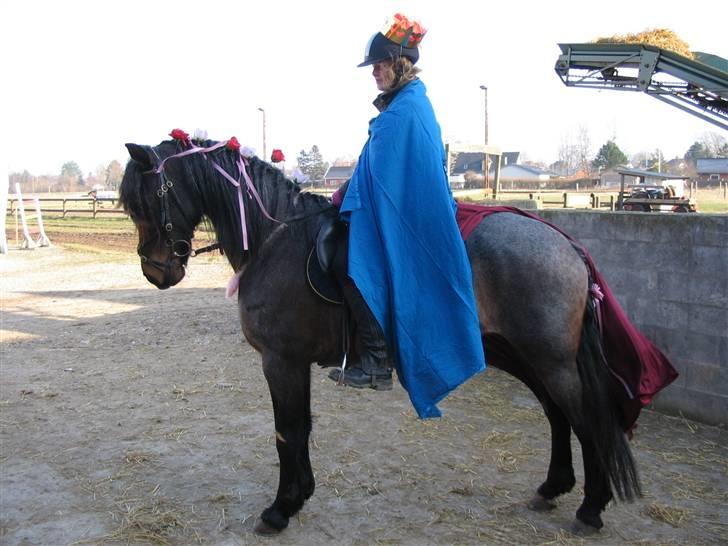 Connemara Molly Malone **R.I.P**:'( - Fastelavn:) Prinsen og Prinsessen:D billede 10