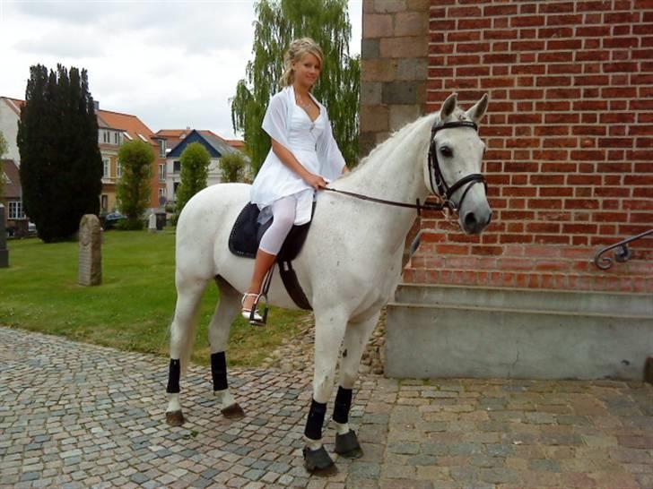 Tysk Sportspony Jonatan {AFLIVET} - ¤9¤  Jonatan kom og hentede mig i kirken til min konfirmation :ii tusind tak mette! foto: Mette Wulff(: billede 9