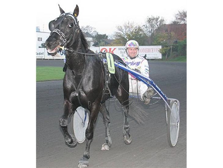 {{currentPhoto.altText}} billede {{currentPhoto.number}}