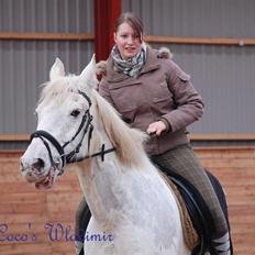 Knabstrupper Coco's Wladimir <3