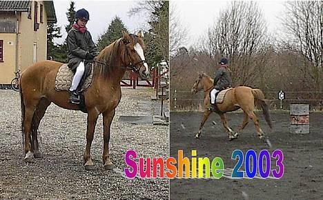 Anden særlig race Sunshine - stævne 2003, HAHA , Gaaaaal det er længe siden ;D se hvor stor hun var ! :P ..dengang jeg var 10 altså :P billede 11