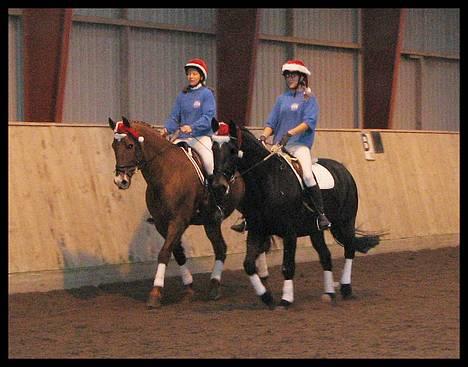 Oldenborg Sigurd Søndervang †  - Sigurd og jeg i pas de deux med Mia og Merkur til jule afslutningen d.3-12-2006 billede 16