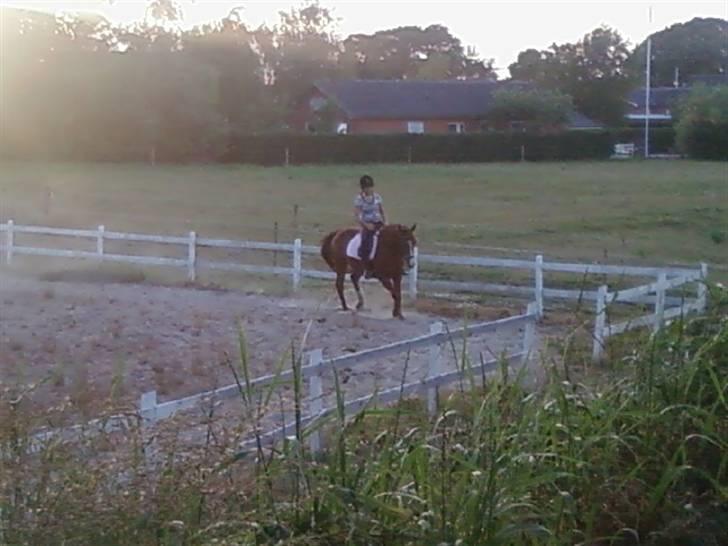 Oldenborg Freja - 1982 til 2013 R.I.P - Jannie og Freja...  billede 11