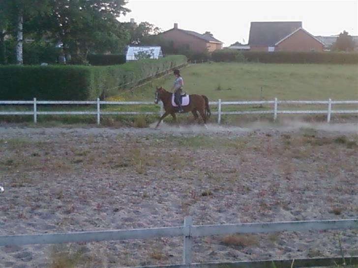 Oldenborg Freja - 1982 til 2013 R.I.P billede 15