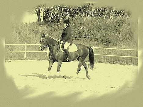 Oldenborg Freja - 1982 til 2013 R.I.P - Ja.. :P billede 18