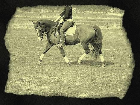 Oldenborg Freja - 1982 til 2013 R.I.P - så smukt......! billede 19