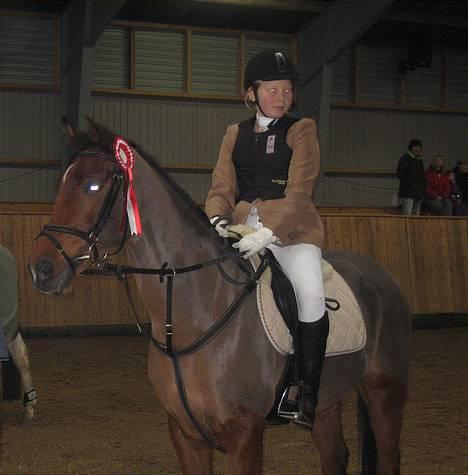 Hollandsk Sportspony Sjanoe - solgt - Sjanoe og hans nye ejer Kirsti. d.3/12 2006 billede 18