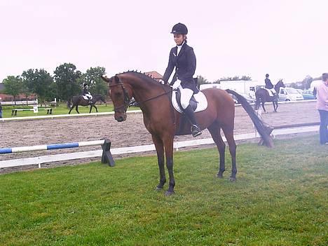 Hollandsk Sportspony Sjanoe - solgt - dressurbabs 2005 billede 19