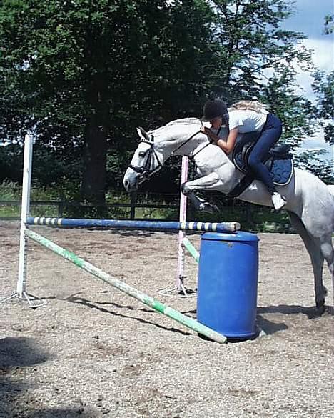 Connemara Birkely Spokojna - Springtræning forår 2003. Her springer vi et "hjørne" (der går en bom fra tønden til støtten i baggrunden, lidt svært at se). Hjørner er en almindelig forhindringstype i terrænspringning. billede 11