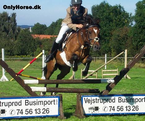 New Forest Kvægenbjergs Scheik RIP - Her er Scheik og jeg i en LA . den vandt vi :o) Fotograf: Helene M billede 19