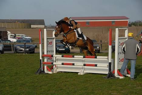 New Forest Kvægenbjergs Scheik RIP - Scheik og hans nye ejer til stævne <3 billede 20