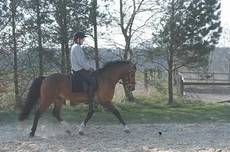 DSP Wonder  - Her prøver min mor så Wonder billede 5