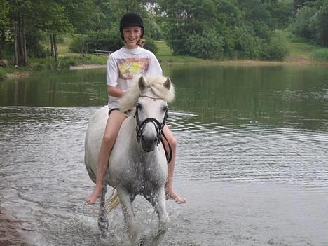 Anden særlig race Lotte *Død* - mai og lotte. Hu Haaj hvor det går billede 11