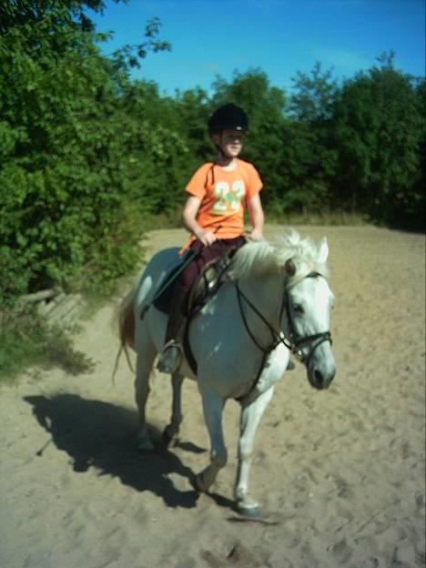 Anden særlig race Lotte *Død* - min pony billede 12