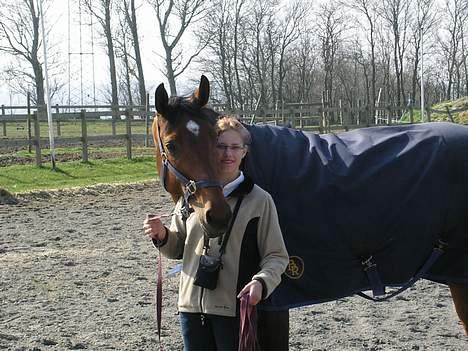 Dansk Varmblod Mølleåens Svetlana - Vi er gode venner. billede 4