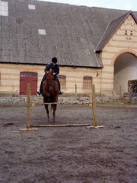 Traver Barske Bangsbo - Karen og Barske springer billede 14