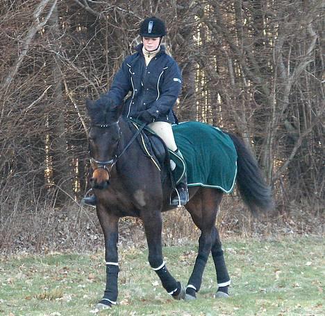 Oldenborg Charmeur  Solgt -  Ude på en lille ridetur (taget d 12/3-06). billede 2