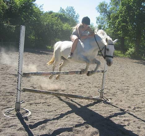 Connemara Barholts Madonna - Her springer vi 1 meter uden sadel! 29/6-05  billede 11