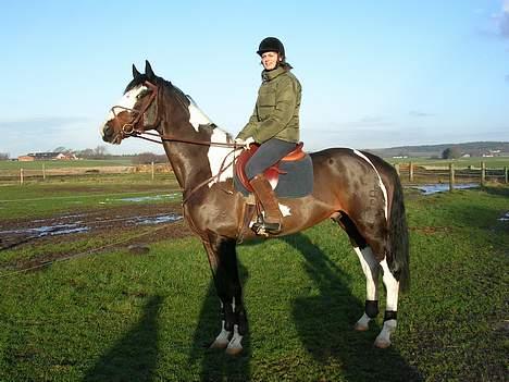 Pinto Samondo - -endelig.. solen skinner lidt-2004 (3 år) billede 4