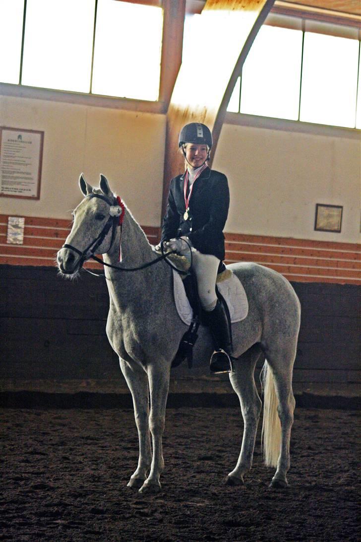 DSP Happy Meal (Mille) - Mille og hendes part Guro til premieuddelning, klubmester dressur 2008 (de rider mest spring) billede 14