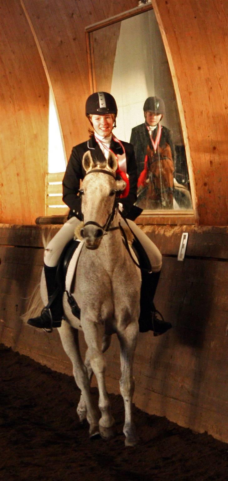 DSP Happy Meal (Mille) - NYT juni06 Mille og mig til dressurundervisning.. havde ikke redet på hende i 3 uger.. (min søs har hende nu..) billede 15