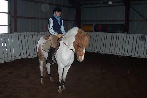 Pinto fire fly (solgt) billede 1