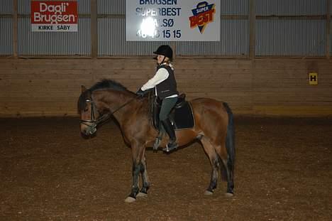 Anden særlig race Prins billede 6