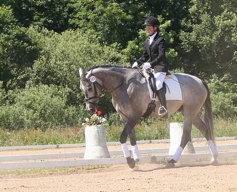 Dansk Varmblod Cantoná Skovvang *RIP* - den fine skridt.. fik 8 for den :D ....canto og jeg til 4-års dsa (championat) i vejle (..juni 05) billede 3