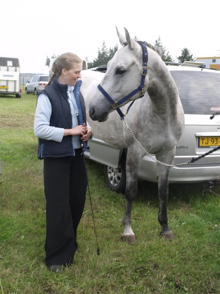 Dansk Varmblod Cantoná Skovvang *RIP* - til c-stævne august BIS- " lidt hygge" inden opvarmning  ;) foto malene billede 4