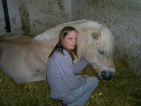 Anden særlig race Klaus - For pokker hvor er det hårdt med en hel dag hvor man bare skal lave... ingenting... :D (vinter 2003 eller 2004) billede 18