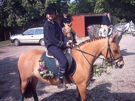 Anden særlig race  Bambi - Rid sommer i by 2004 billede 19