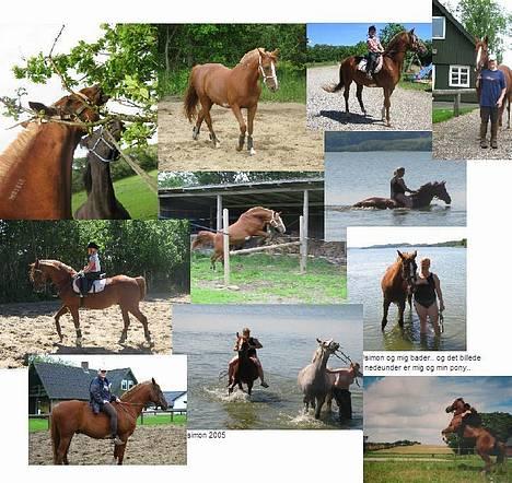 Traver Simon Langkjær - billeder af simon fra -2005 og et enkelt billede af min pony..1998-99 tror jeg...ville lige vise hvor dygtig hun kunne være, når hun altså gjorde det man bedte om..(o: billede 11