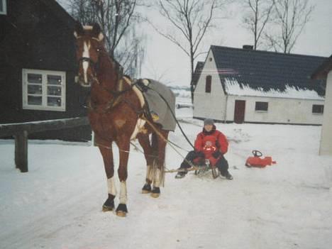 Traver Simon Langkjær - simon og mig ude og køre med slæde.. februar-2005 det er bare skide skægt.. :o) billede 12