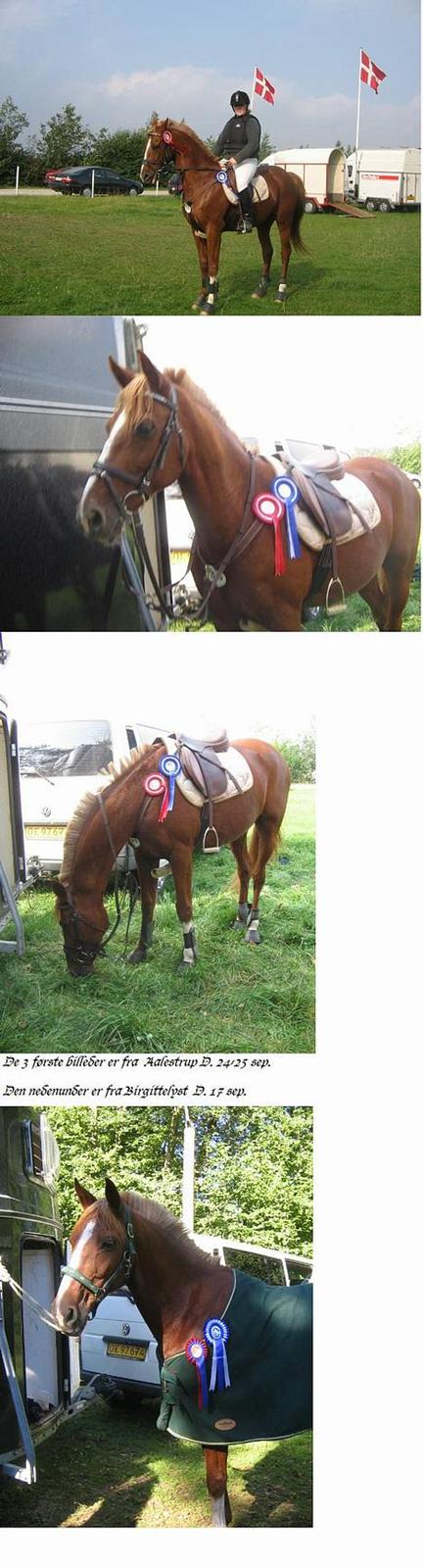 Traver Simon Langkjær - stævne i birgittelyst..17/9-05 og aalestrup 24/25-9-05 billede 15