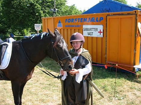 Irsk Sportspony Ardfield  Woodie - solgt  - Bregentved 2005 vi venter på at komme ned og ride kûr billede 13