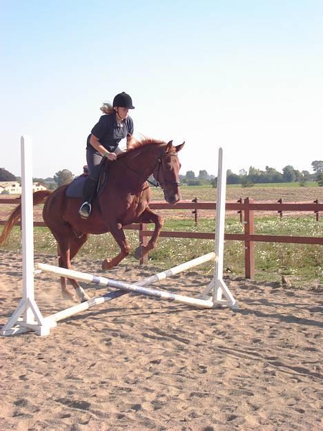 Traver Barske Bangsbo - Karen og Barske springer billede 17