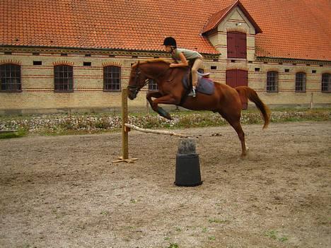 Traver Barske Bangsbo - anna og Barske springer med stil hehe billede 19