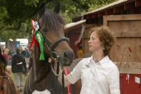 New Forest Tazet Af Damagergård  - På Roskilde dyrskue med premier 2004, Skuets bedste følhoppe billede 15