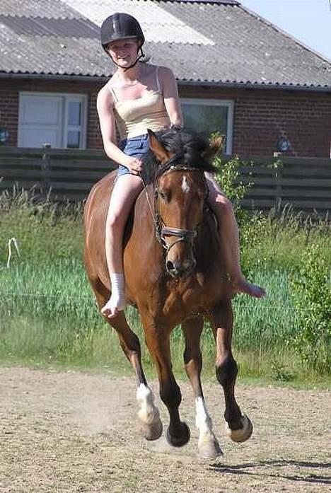 Anden særlig race Atilla-San *RIP* - Uden sadel i galop - og med lidt krum ryg billede 14